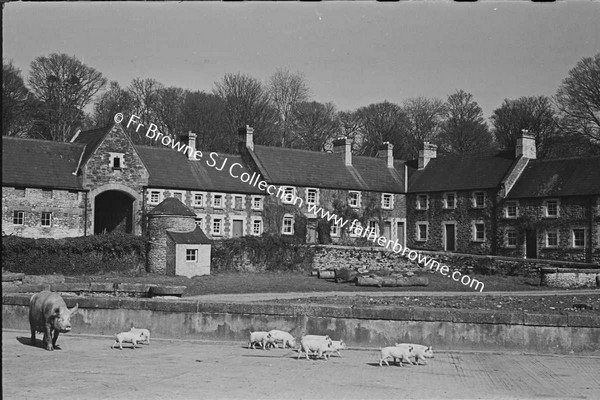 HEADFORD HOUSE  THE FARM YARD